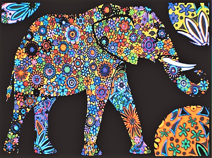 Elefante – Quadro large in velluto da colorare ColorVelvet
