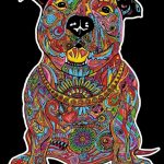Pitbull - Quadro small in velluto da colorare ColorVelvet