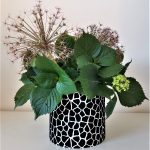 Zebra - Coprivaso Velvet Garden