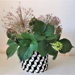 Cubi - Coprivaso Velvet Garden